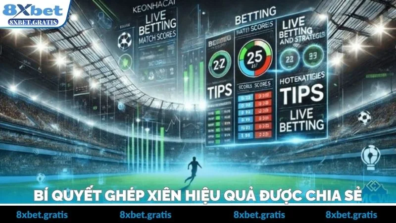 Bí quyết soi kèo chắc tay cho người mới