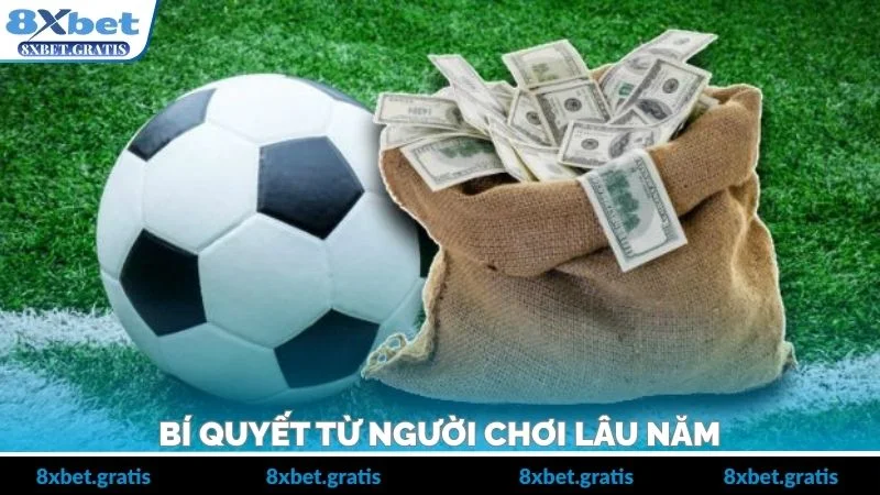 Bí quyết từ người chơi lâu năm