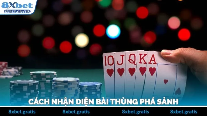 Các đặc điểm cụ thể để nhận biết đúng bộ bài