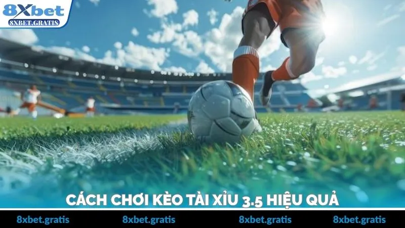 Các mẹo được đúc kết từ thực tế trải nghiệm