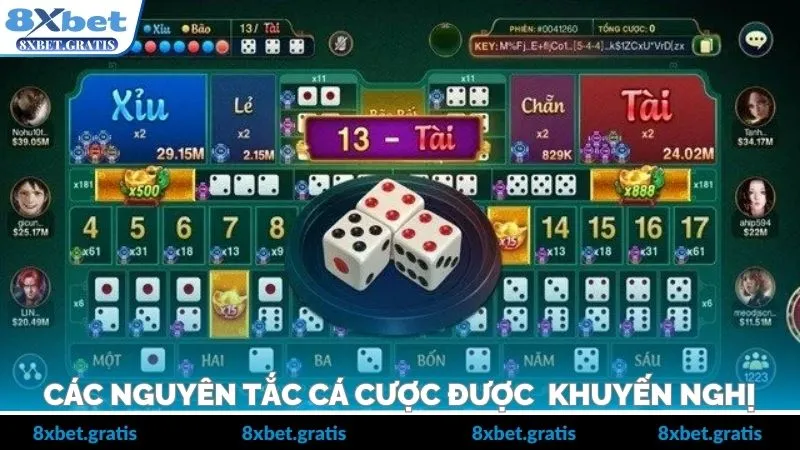 Các nguyên tắc cá cược được khuyến nghị