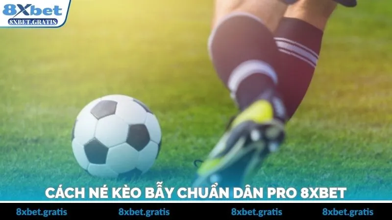Một số cách né kèo bẫy chuẩn dân pro 8XBET