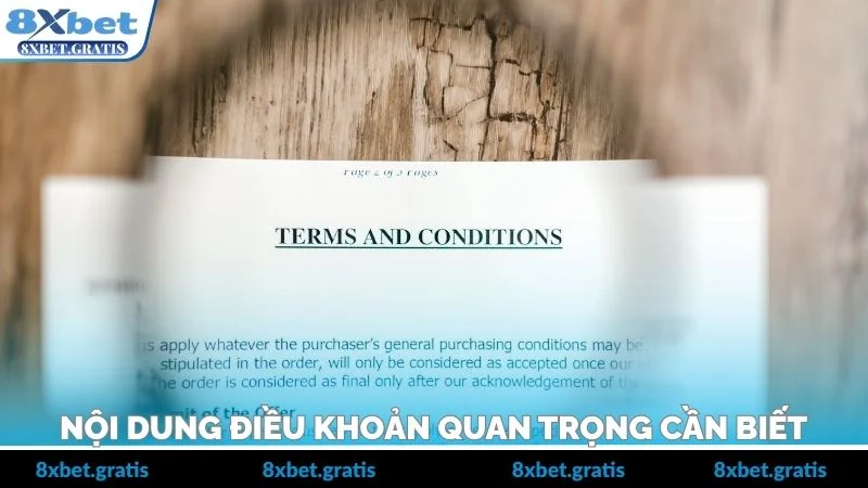 Nội dung điều khoản quan trọng cần biết