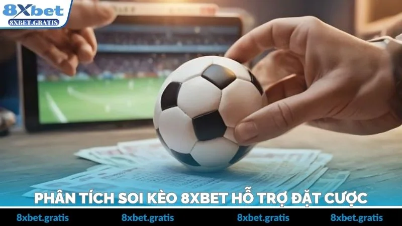 Phân tích soi kèo 8xbet hỗ trợ đặt cược